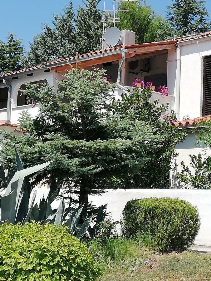 Apartment Enis Barbariga Exterior foto